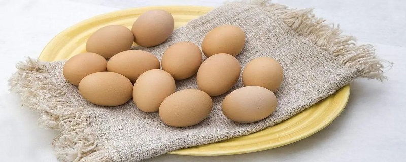 如何辨别真假鸡蛋